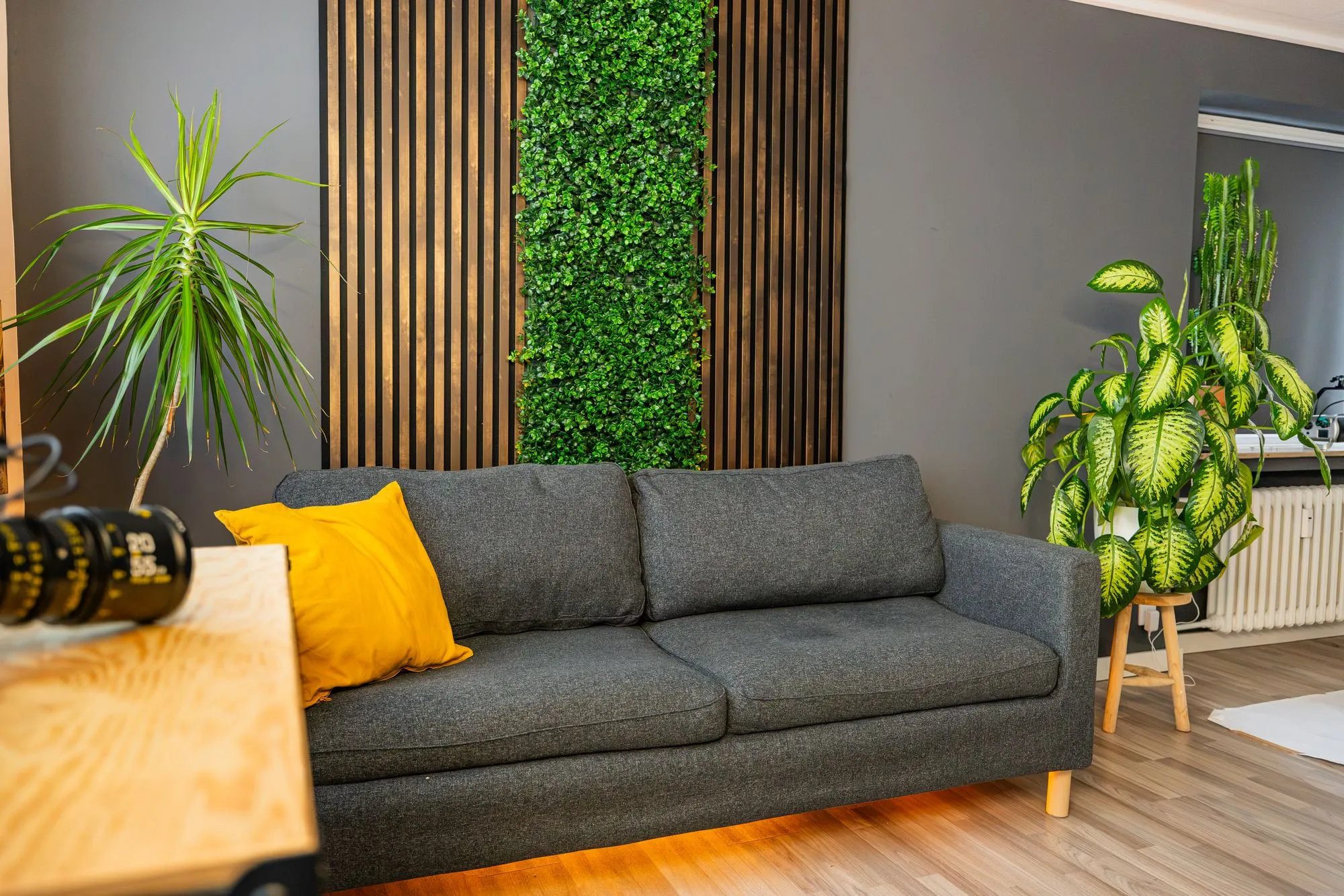 Cine-Objektiv vor dem Couch-Set mit Pflanzenwand im Content-Studio Essen