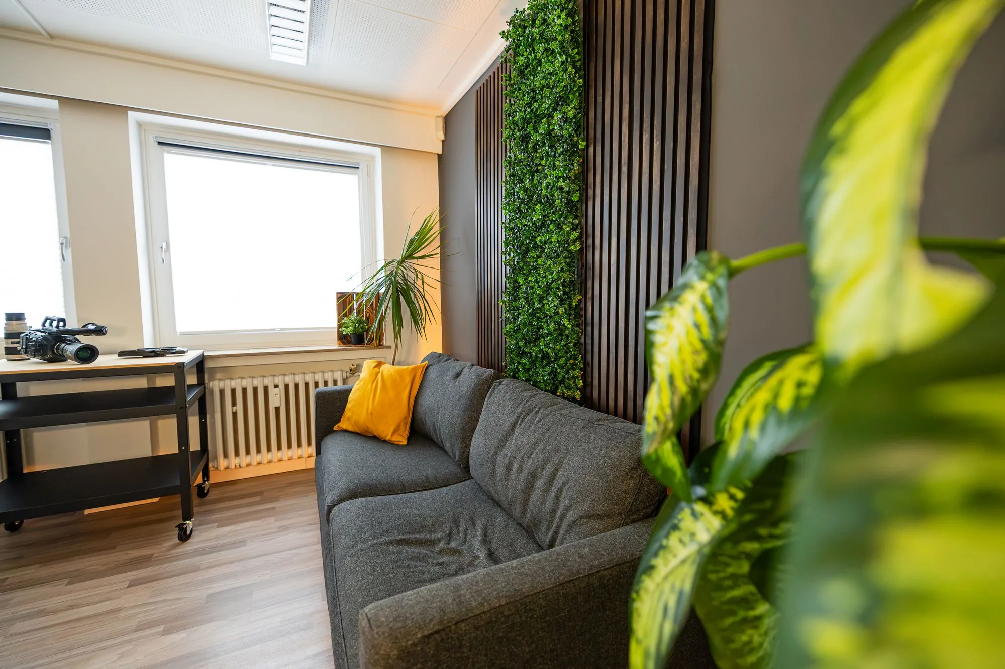 Couch-Set mit Pflanzen für Unternehmenspodcasts in Essen