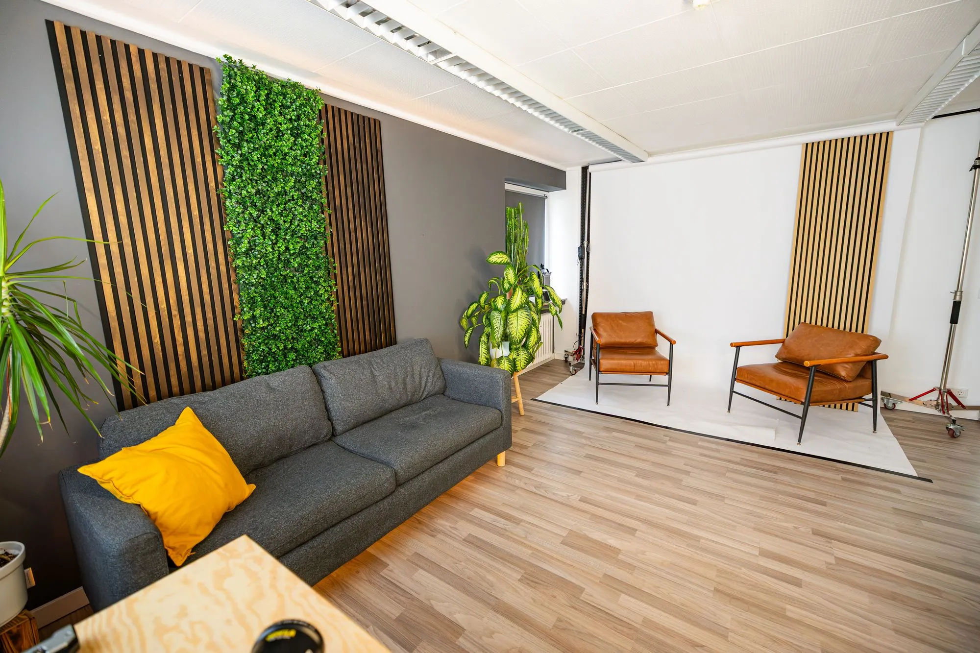 Überblick über die Sets im Fotostudio Essen: Couch an der Pflanzenwand und Ledersessel vor weißem Hintergrund